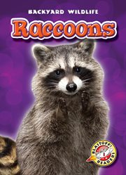Raccoons cover image cdn