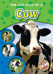 The life cycle of a cow cover image cdn
