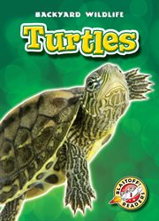 Turtles cover image cdn