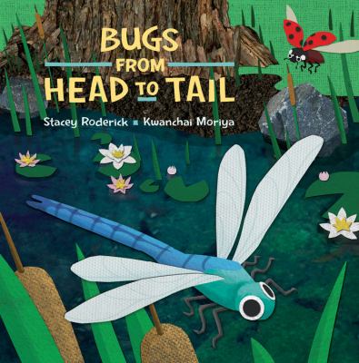 Bugs from head to tail  cover image cdn