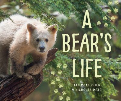 A bear's life cover image
