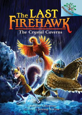 The Crystal Caverns cover image