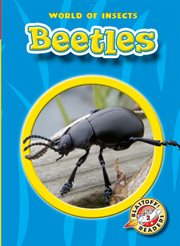 Beetles cover image cdn