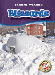 Blizzards cover image cdn