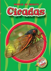 Cicadas cover image cdn