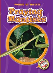 Praying mantises cover image cdn