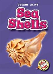 Sea shells cover image cdn