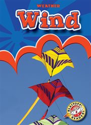 Wind cover image cdn