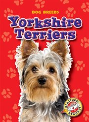 Yorkshire terriers cover image cdn