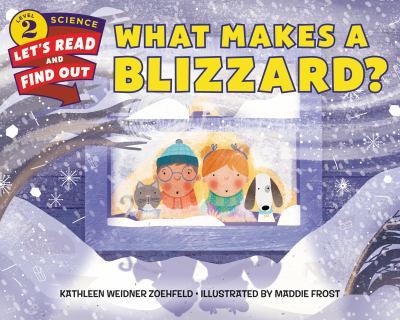 What makes a blizzard? cover image