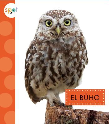 El búho  cover image cdn