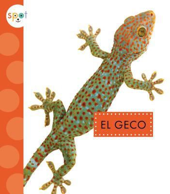 El geco  cover image cdn