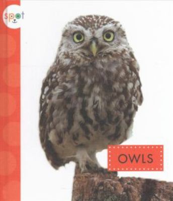 Owls cover image