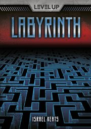 Labyrinth cover image cdn