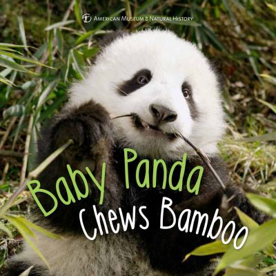 Baby panda chews bamboo cover image