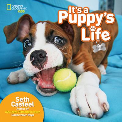 It's a puppy's life  cover image cdn