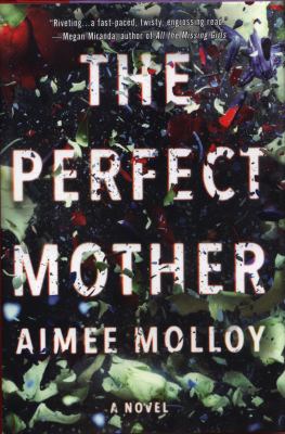 The perfect mother cover image