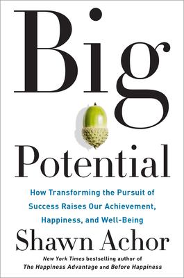 Big potential : how transforming the pursuit of success raises our achievement, happiness, and well-being cover image