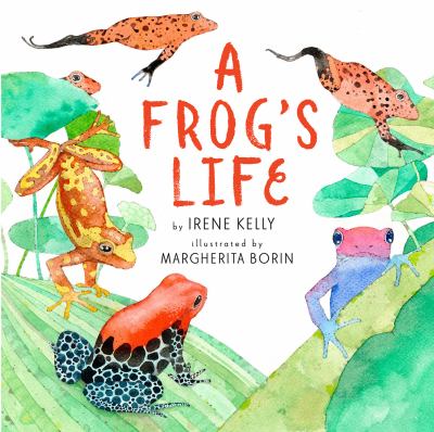 A frog's life  cover image cdn