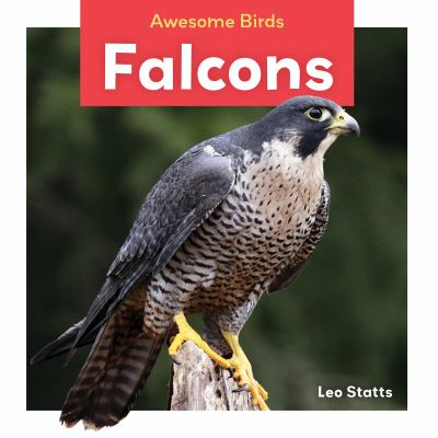 Falcons  cover image cdn