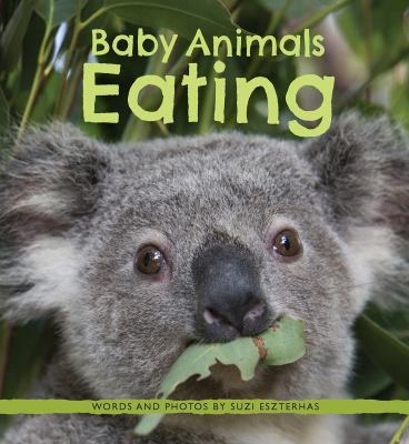 Baby animals eating cover image