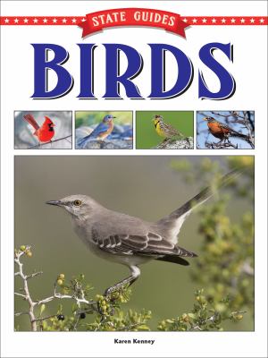Birds  cover image cdn