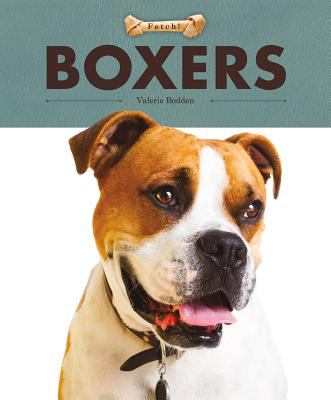 Boxers  cover image cdn