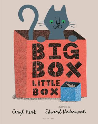 Big box little box cover image