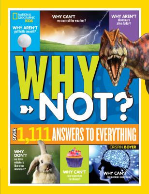 Why not? cover image