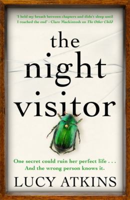 The night visitor cover image