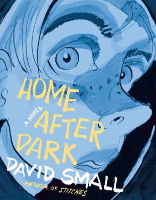 Home after dark cover image