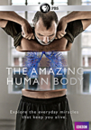 The amazing human body cover image