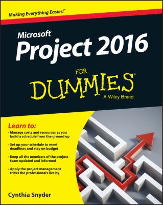 Project 2016 for dummies cover image