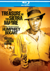 The treasure of the Sierra Madre cover image