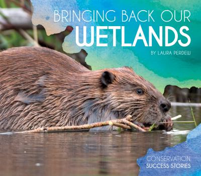 Bringing back our wetlands cover image