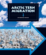 Arctic tern migration cover image cdn