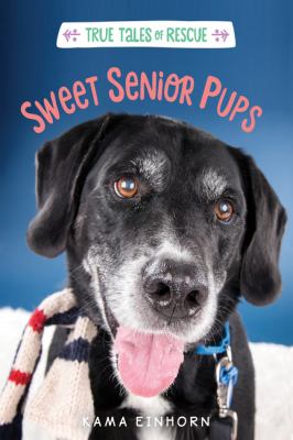 Sweet senior pups cover image