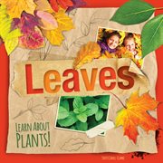 Leaves cover image cdn