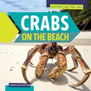 Crabs on the beach cover image cdn