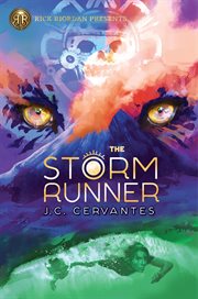 The storm runner cover image cdn
