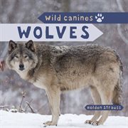 Wolves cover image cdn
