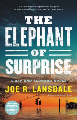 The elephant of surprise cover image