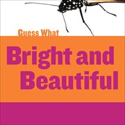 Bright and beautiful cover image cdn