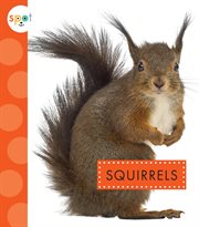 Squirrels cover image cdn