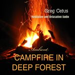 Campfire in deep forest. Meditation and Relaxation Audio cover image cdn