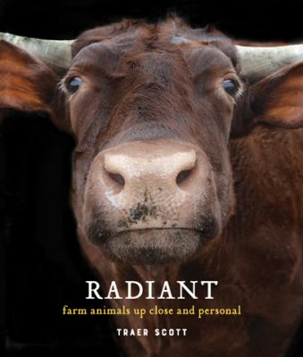 Radiant : farm animals up close and personal cover image
