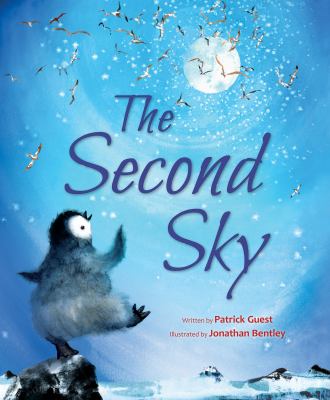 The second sky  cover image cdn