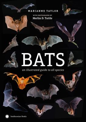 Bats : an illustrated guide to all species cover image