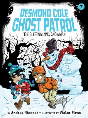 The sleepwalking snowman  cover image cdn