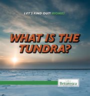 What is the tundra? cover image cdn